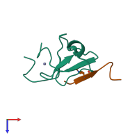 Hetero dimeric assembly 1 of PDB entry 5tbn coloured by chemically distinct molecules, top view.