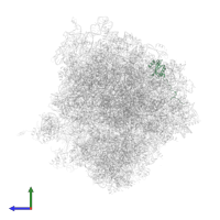 Large ribosomal subunit protein uL23 in PDB entry 5tbw, assembly 2, side view.