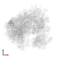 Large ribosomal subunit protein uL24A in PDB entry 5tbw, assembly 2, front view.