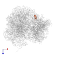 Small ribosomal subunit protein uS11B in PDB entry 5tbw, assembly 2, top view.