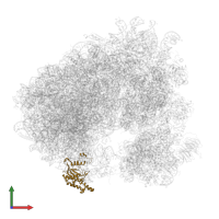 Large ribosomal subunit protein uL18 in PDB entry 5tbw, assembly 2, front view.