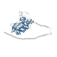 The deposited structure of PDB entry 5tby contains 2 copies of Pfam domain PF00063 (Myosin head (motor domain)) in Myosin-7. Showing 1 copy in chain A.
