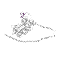 The deposited structure of PDB entry 5tby contains 2 copies of Pfam domain PF02736 (Myosin N-terminal SH3-like domain) in Myosin-7. Showing 1 copy in chain A.