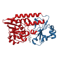 The deposited structure of PDB entry 5tcy contains 6 copies of CATH domain 3.40.50.1980 (Rossmann fold) in Fe/B12 periplasmic-binding domain-containing protein. Showing 2 copies in chain A.