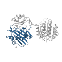 The deposited structure of PDB entry 5tdf contains 1 copy of CATH domain 3.30.470.20 (D-amino Acid Aminotransferase; Chain A, domain 1) in ATP-citrate synthase. Showing 1 copy in chain A.