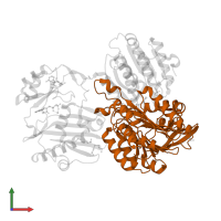 ATP-citrate synthase in PDB entry 5tdz, assembly 1, front view.