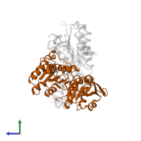 ATP-citrate synthase in PDB entry 5tdz, assembly 1, side view.