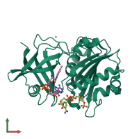 3D model of 5thx from PDBe