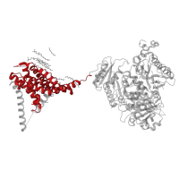 The deposited structure of PDB entry 5tj6 contains 1 copy of Pfam domain PF00520 (Ion transport protein) in BK channel. Showing 1 copy in chain A.