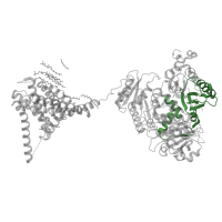 The deposited structure of PDB entry 5tj6 contains 1 copy of Pfam domain PF21014 (Ca2+-activated K+ channel Slowpoke, TrkA_C like domain) in BK channel. Showing 1 copy in chain A.