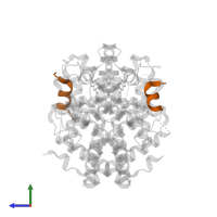 Nuclear receptor coactivator 2 in PDB entry 5tn5, assembly 1, side view.