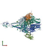 PDB entry 5toj coloured by chain, front view.