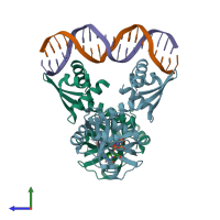 PDB entry 5trd coloured by chain, side view.