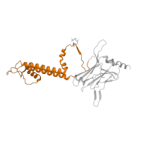 The deposited structure of PDB entry 5twv contains 4 copies of Pfam domain PF01007 (Inward rectifier potassium channel transmembrane domain) in ATP-sensitive inward rectifier potassium channel 11. Showing 1 copy in chain A.