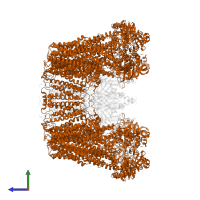 ATP-binding cassette sub-family C member 8 in PDB entry 5twv, assembly 1, side view.