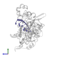 DNA (5'-D(*CP*GP*TP*AP*T)-3') in PDB entry 5tye, assembly 1, side view.