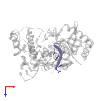 DNA (5'-D(*CP*GP*TP*AP*T)-3') in PDB entry 5tye, assembly 1, top view.