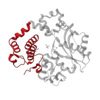 The deposited structure of PDB entry 5tyf contains 1 copy of CATH domain 1.10.150.110 (DNA polymerase; domain 1) in DNA-directed DNA/RNA polymerase mu. Showing 1 copy in chain A.