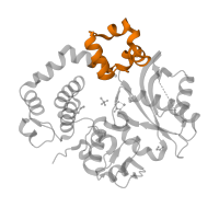 The deposited structure of PDB entry 5tyf contains 1 copy of Pfam domain PF10391 (Fingers domain of DNA polymerase lambda) in DNA-directed DNA/RNA polymerase mu. Showing 1 copy in chain A.