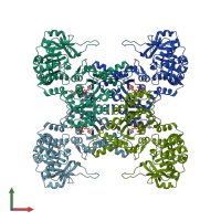 PDB entry 5u03 coloured by chain, front view.