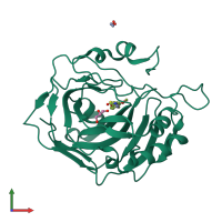 PDB entry 5u0g coloured by chain, front view.