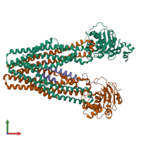 PDB entry 5u1d coloured by chain, front view.