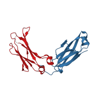 The deposited structure of PDB entry 5u52 contains 4 copies of CATH domain 2.60.40.10 (Immunoglobulin-like) in Immunoglobulin heavy constant gamma 1. Showing 2 copies in chain B.