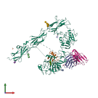 PDB entry 5u8q coloured by chain, front view.