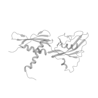 The deposited structure of PDB entry 5uah contains 4 copies of Pfam domain PF03118 (Bacterial RNA polymerase, alpha chain C terminal domain) in DNA-directed RNA polymerase subunit alpha. Showing 1 copy in chain A (this domain is out of the observed residue ranges!).