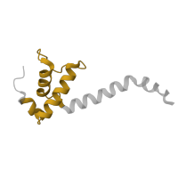 The deposited structure of PDB entry 5uaq contains 2 copies of Pfam domain PF01192 (RNA polymerase Rpb6 ) in DNA-directed RNA polymerase subunit omega. Showing 1 copy in chain E.