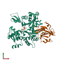 PDB entry 5ubo coloured by chain, front view.