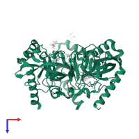 Inorganic pyrophosphatase in PDB entry 5ucq, assembly 1, top view.