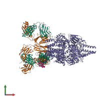 Hetero nonameric assembly 1 of PDB entry 5udc coloured by chemically distinct molecules, front view.