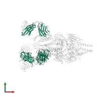 MEDI8897 Fab Heavy Chain in PDB entry 5udc, assembly 1, front view.