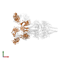 MEDI8897 Fab Light Chain in PDB entry 5udc, assembly 1, front view.