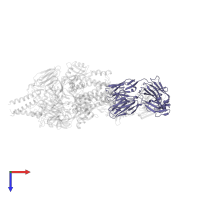 MEDI8897 Fab Light Chain in PDB entry 5udd, assembly 2, top view.