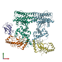 PDB entry 5udh coloured by chain, front view.