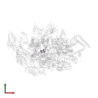 RNA (5'-R(*GP*A)-3') in PDB entry 5uh9, assembly 1, front view.