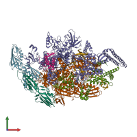 PDB entry 5uhe coloured by chain, front view.