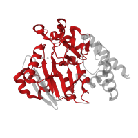 The deposited structure of PDB entry 5uki contains 1 copy of Pfam domain PF00149 (Calcineurin-like phosphoesterase) in Lariat debranching enzyme. Showing 1 copy in chain A.