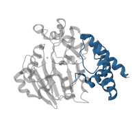 The deposited structure of PDB entry 5uki contains 1 copy of Pfam domain PF20890 (Dbr1, C-terminal domain) in Lariat debranching enzyme. Showing 1 copy in chain A.