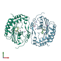 PDB entry 5ulp coloured by chain, front view.