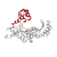 The deposited structure of PDB entry 5ulw contains 1 copy of CATH domain 1.10.150.20 (DNA polymerase; domain 1) in DNA polymerase iota. Showing 1 copy in chain C [auth A].