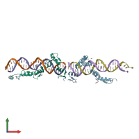 PDB entry 5und coloured by chain, front view.