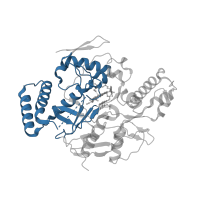 The deposited structure of PDB entry 5unu contains 2 copies of CATH domain 3.90.340.10 (Nitric Oxide Synthase; Chain A, domain 1) in Nitric oxide synthase 1. Showing 1 copy in chain B.