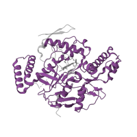 The deposited structure of PDB entry 5unu contains 2 copies of Pfam domain PF02898 (Nitric oxide synthase, oxygenase domain) in Nitric oxide synthase 1. Showing 1 copy in chain B.