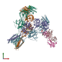 PDB entry 5up2 coloured by chain, front view.