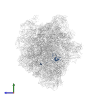 Small ribosomal subunit protein uS12 in PDB entry 5uq7, assembly 1, side view.