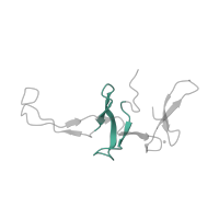 The deposited structure of PDB entry 5uq8 contains 1 copy of Pfam domain PF00467 (KOW motif) in Large ribosomal subunit protein uL24. Showing 1 copy in chain T [auth Y].