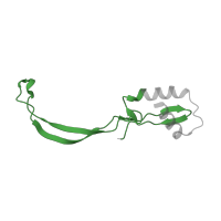 The deposited structure of PDB entry 5uq8 contains 1 copy of Pfam domain PF00830 (Ribosomal L28 family) in Large ribosomal subunit protein bL28. Showing 1 copy in chain W [auth 1].